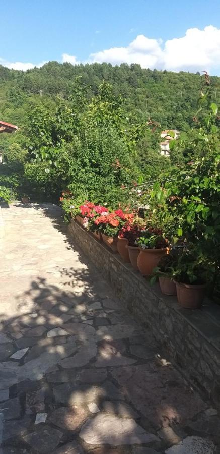 Appartamento Το Σπίτι Της Ευτυχίας Σουίτα Karpenísion Esterno foto