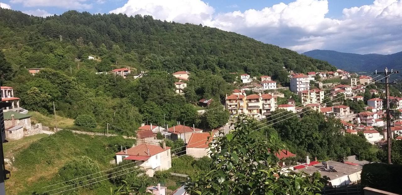 Appartamento Το Σπίτι Της Ευτυχίας Σουίτα Karpenísion Esterno foto